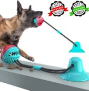 dog-toy-active-dog-chew-toy-sucker-inte_main-1