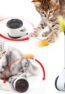 tumbler-swing-toys-for-cats-kitten-inter_main-0
